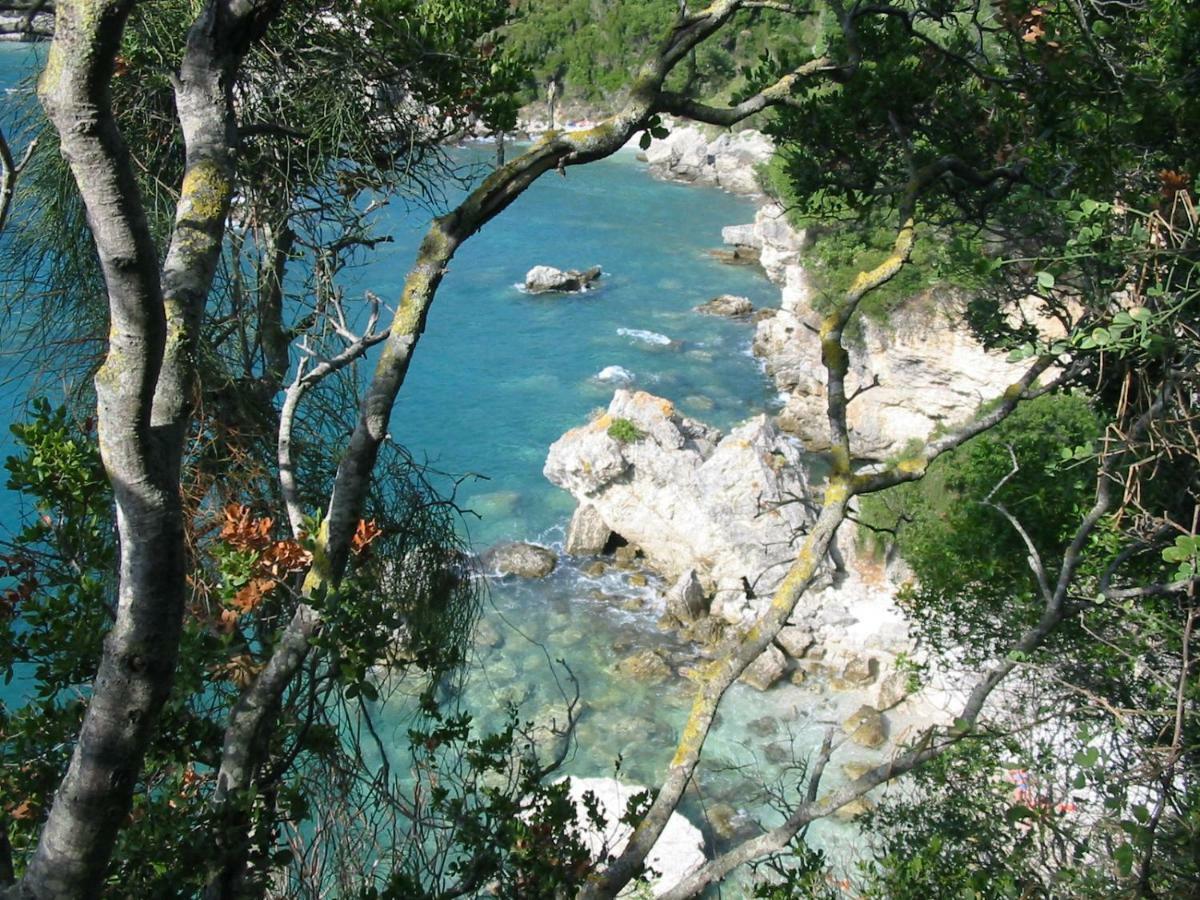 Shambala Liapades